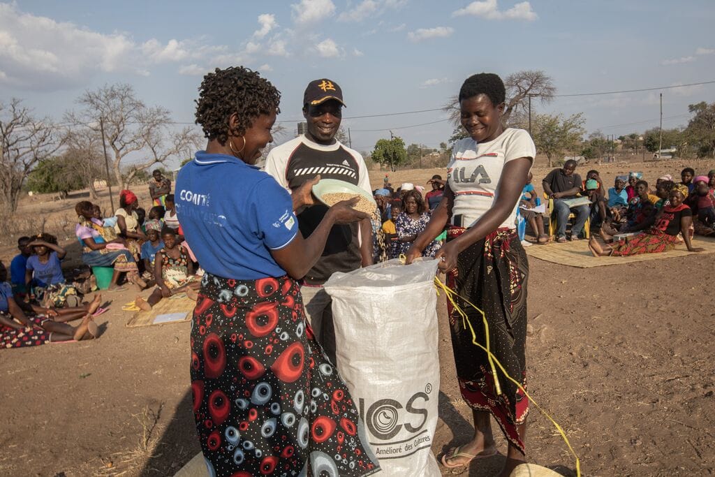 medium-WORLDFOODPROGRAMME_MOZAMBIQUE_2017-2024 1.jpg