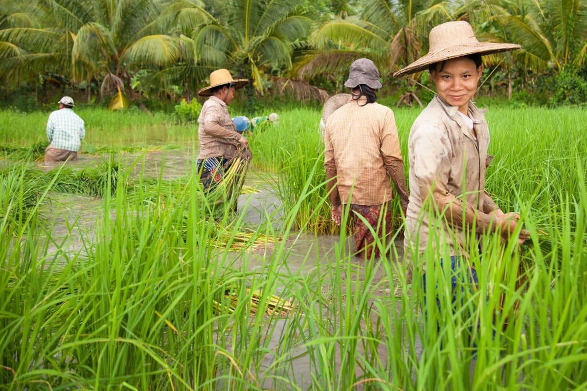 medium-PROXIMITYDESIGNS_MYANMAR_2018-2024 409.jpg