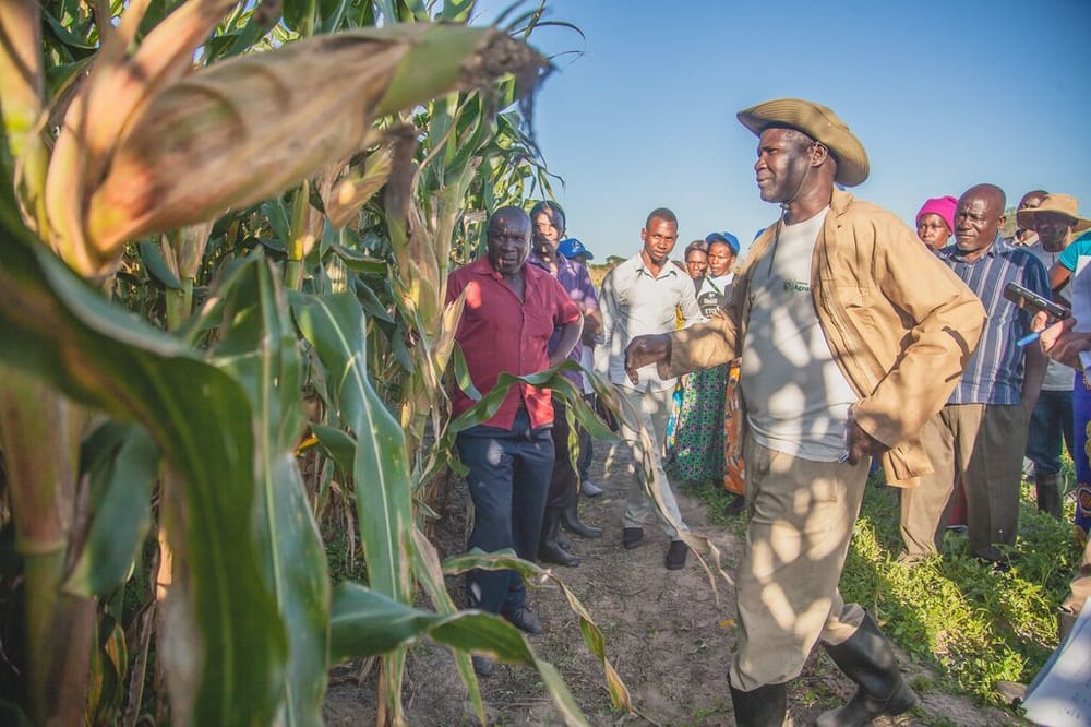 medium-iDE_ZAMBIA_2023-2027 03.jpg