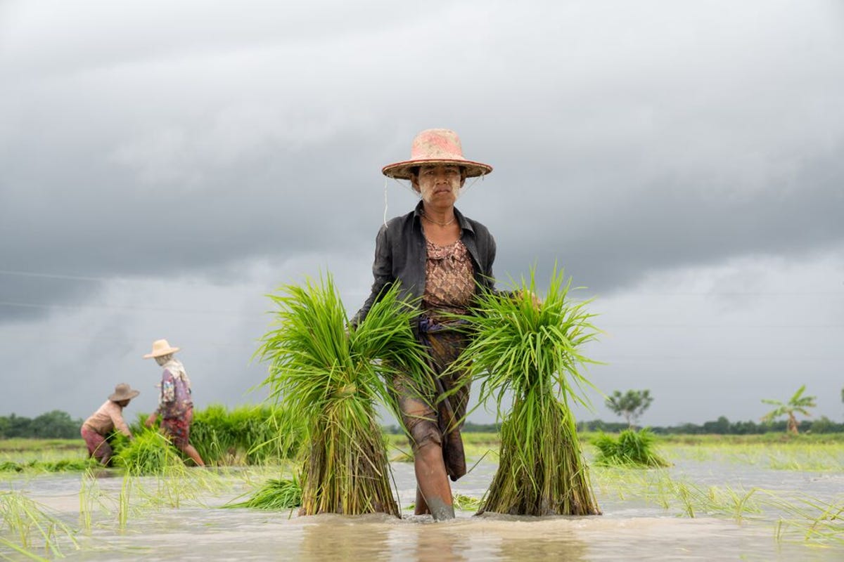 medium-PROXIMITYDESIGNS_MYANMAR_2018-2024 120.jpg