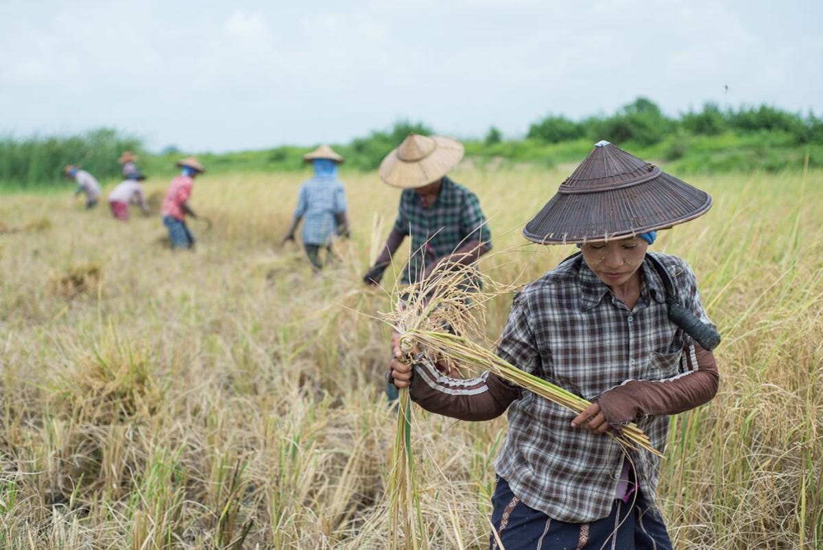 medium-PROXIMITYDESIGNS_MYANMAR_2018-2024 255.jpg