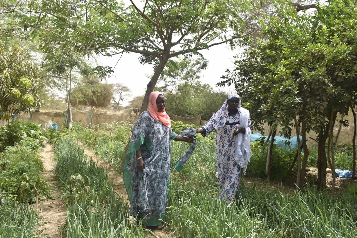 Single Photo . Le Monde.jpg